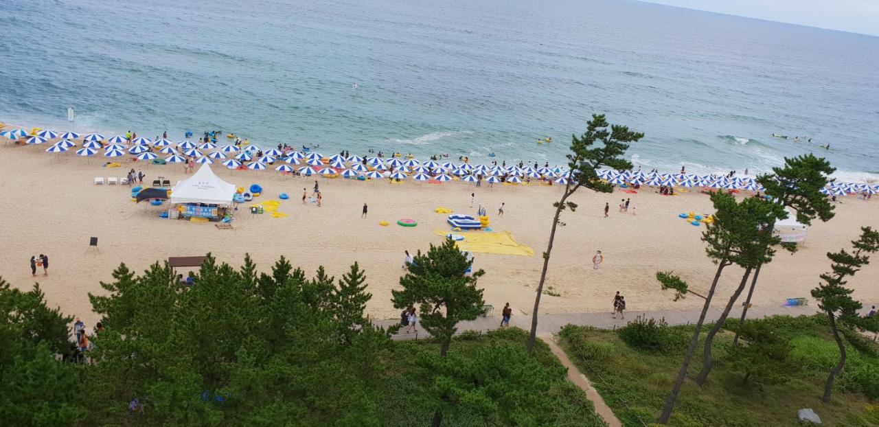 Time Motel Gangneung Dış mekan fotoğraf